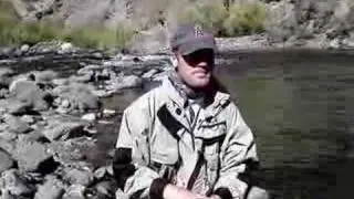 East Carson Brown Trout