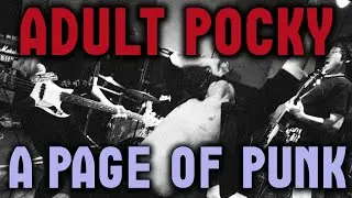 Adult Pocky Review! A Page Of Punk 大人の琥珀 と 女神のルビー ポッキー 。