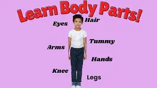 Body Parts for kids learning, Essential Facts About BODY PARTS Every Student Needs