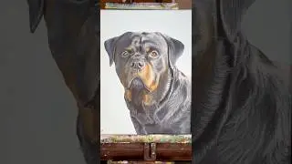 Cujo 💙 #art #artist #painting #dogs #petportraitartist #acrylicpainting #artwork #pets