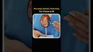 Acute Kidney Injury Explained | Pre-renal, Intrinsic & Post-renal AKI by Dr. Humam Siddiqui