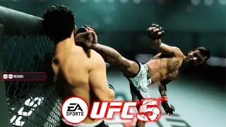 I Recreated Mauricio Ruffy's  Spinning Wheel Kick Knockout!