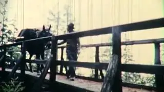 Säumen1