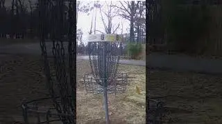 2 Shots Mentality #discgolf