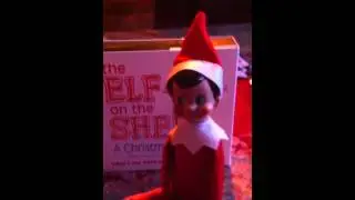 The elf on the shelf tradition begins!