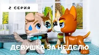 LPS НОВЫЙ Спор На Любовь (2 серия) 