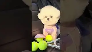 CUTEST PUPPIES Singing a SONG for KIDS! 🐶🎶 #Cute #Baby #Dog