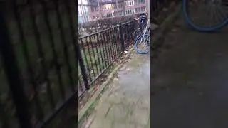 Asian thunder
