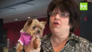 The World's Smallest Working Dog