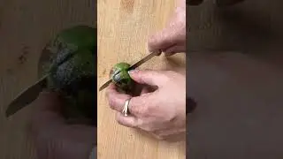 Rosted lemon 🍋 magic for caught and kharas #viral #home remedy #caught#kharas#shorts #viral