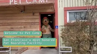 Main Campground Tour - Pet Camp | San Francisco's Most Trusted Dog Boarding Facility