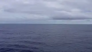 ENGINE CADET view on being the only ship in the South Pacific Ocean.