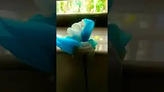 #mask#reuse