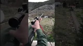 Charging Cape Buffalo Practice
