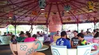 The Teacup Ride - Magic Kingdom - Disney World