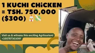 1 KUCHI Chicken = Tsh. 750,000 ($300) 🐔💸 | Part 1: Arrival at BiG-Land, Arusha 🇹🇿