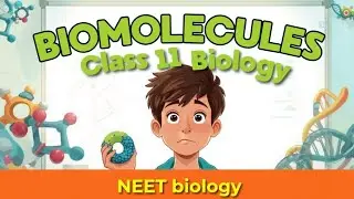 Biomolecules - Biomacromolecules(Carbohydrates) lecture 4 class 11th biology 