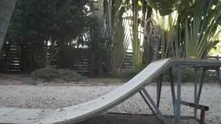 Nollie Eggplants w/ Reed Sligar and More!