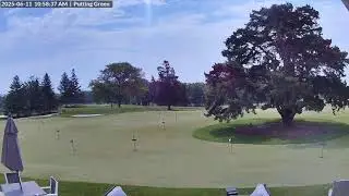 Live View Camera