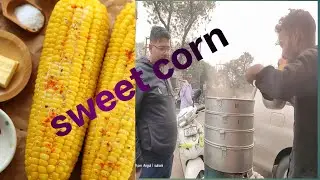 2026 fast video sweet corn Business
