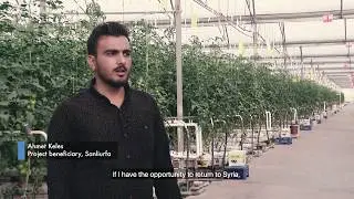 Syrian refugees and host communities acquire agricultural job skills in Turkey