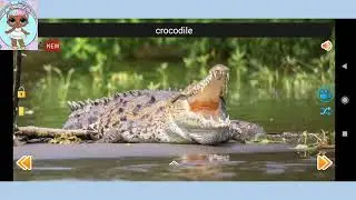 Animal Sounds | Reptiles and Amphibians | Gameplay