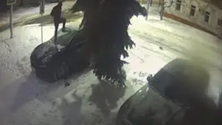 Автовредитель задержан в Ульяновске
