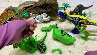 Banyak Fosil Dinosaurus! Ayo Kita Rakit Teman-Teman