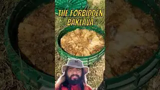 Flushable wipes created the forbidden baklava #shorts