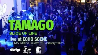 tamago performed Slice of Life live and sharing the power pop energy at Echo Scene at Coma MBloc