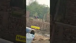 social media viral video status #song #dance 🌧️🌧️🌺☠️🐧🧑&zwj;🚀😂😅😁
