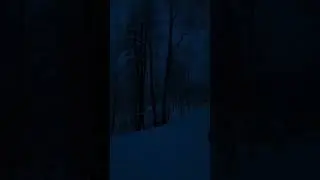 snowy night 💙❄️🏔🏔🌨☃️#snow #snowfall #rain #snowynight