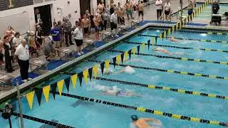 100 fly prelims 2019 IES champs
