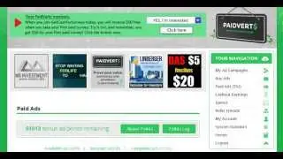 PaidVerts - How To Get Paid The Most With Your Account - PaidVerts Review