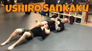The Ushiro Sankaku from the Kimura and Yoko Sankaku positions