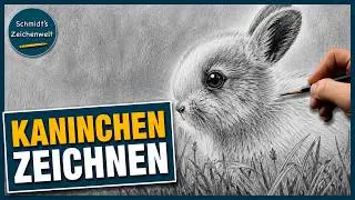 Kaninchen realistisch zeichnen &ndash; Fell Schritt f&uuml;r Schritt mit Bleistift