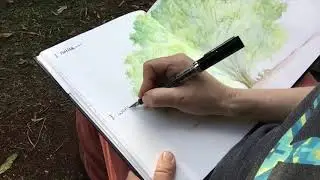Introduction to Nature Journaling - Part Seven: Nature journaling prompts