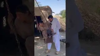 #charitywork #humanity #zahidkashmirwal #welfarefoundation #music #arabic #cover #song #love
