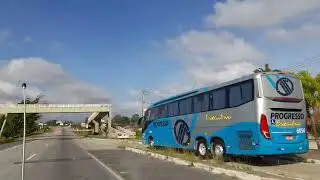 Dando um passeio em bezerros