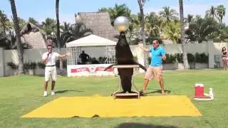 Spring Time Activities for kids at Grand Velas Riviera Nayarit