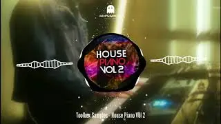 Toolbox Samples - House Piano Vol 2 (Sample Pack)