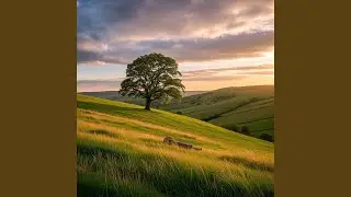 A Picnic Near the Old Oak Tree