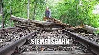 Abandoned Railway in Berlin - Siemensbahn: 40 Years Forgotten