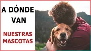 ANIMALES y VIDA después de la MUERTE 🌹 Documental