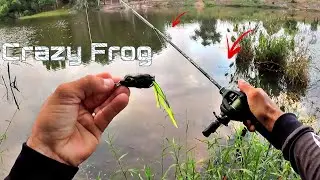 Pescaria com sapinho artificial - Crazy Frog - Pescaria de Traíras.