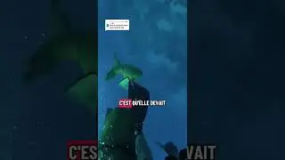 R&eacute;ponse &agrave; la fois o&ugrave; je me suis fait attaquer par une mur&egrave;ne mais vu qu&rsquo;elle avait faim, je lui ai