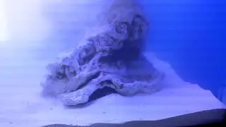 20150728 181509