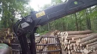 Posek in spravilo lesa Gozdarstvo Ulčar