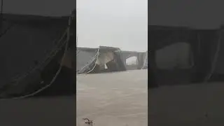 kali bridge