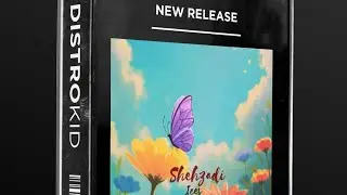 Shehzadi | Ices | Ritzzraj | Official Musical  Visualizer 